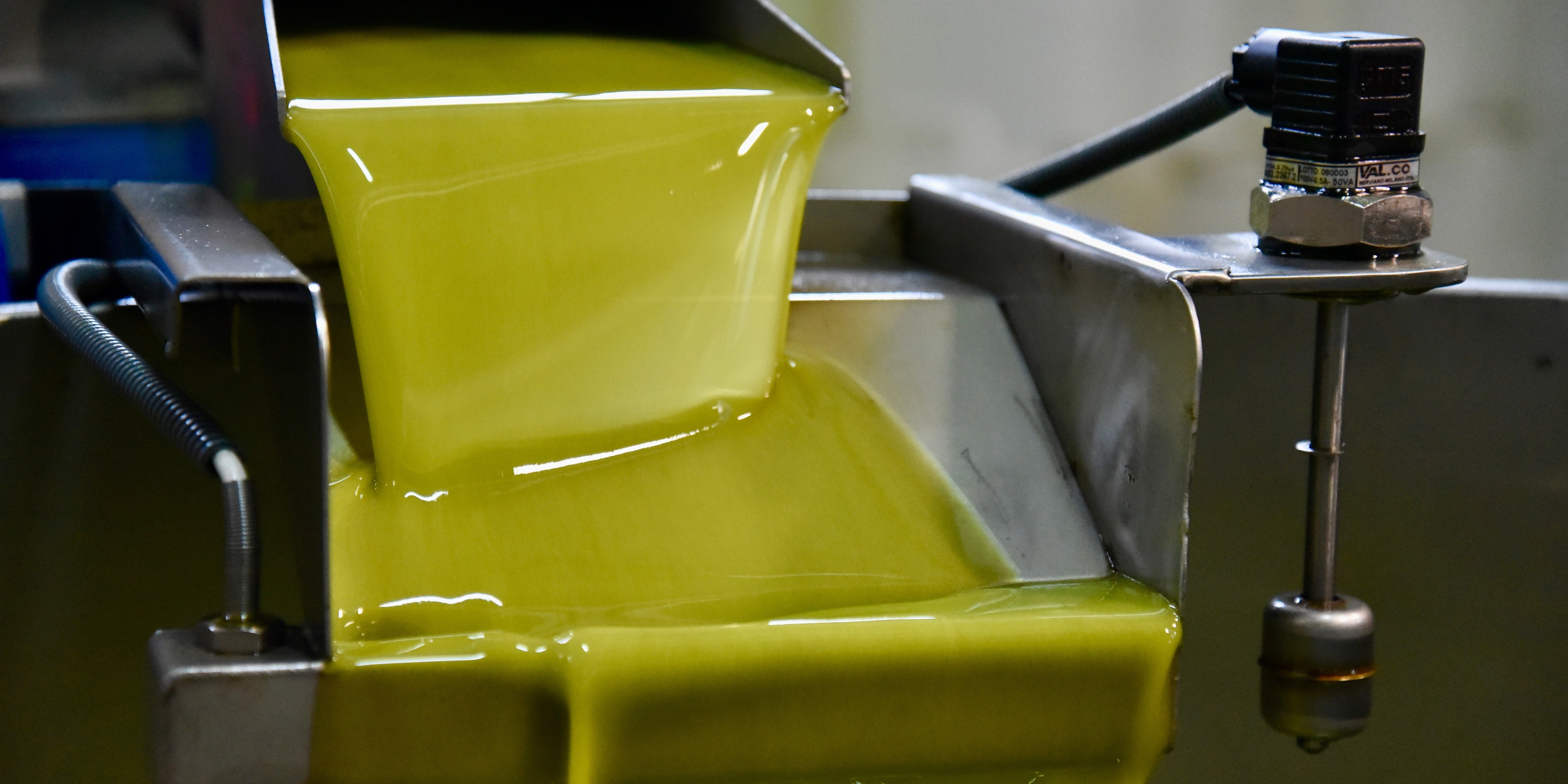 Filtered vs Unfiltered Extra Virgin Olive Oil