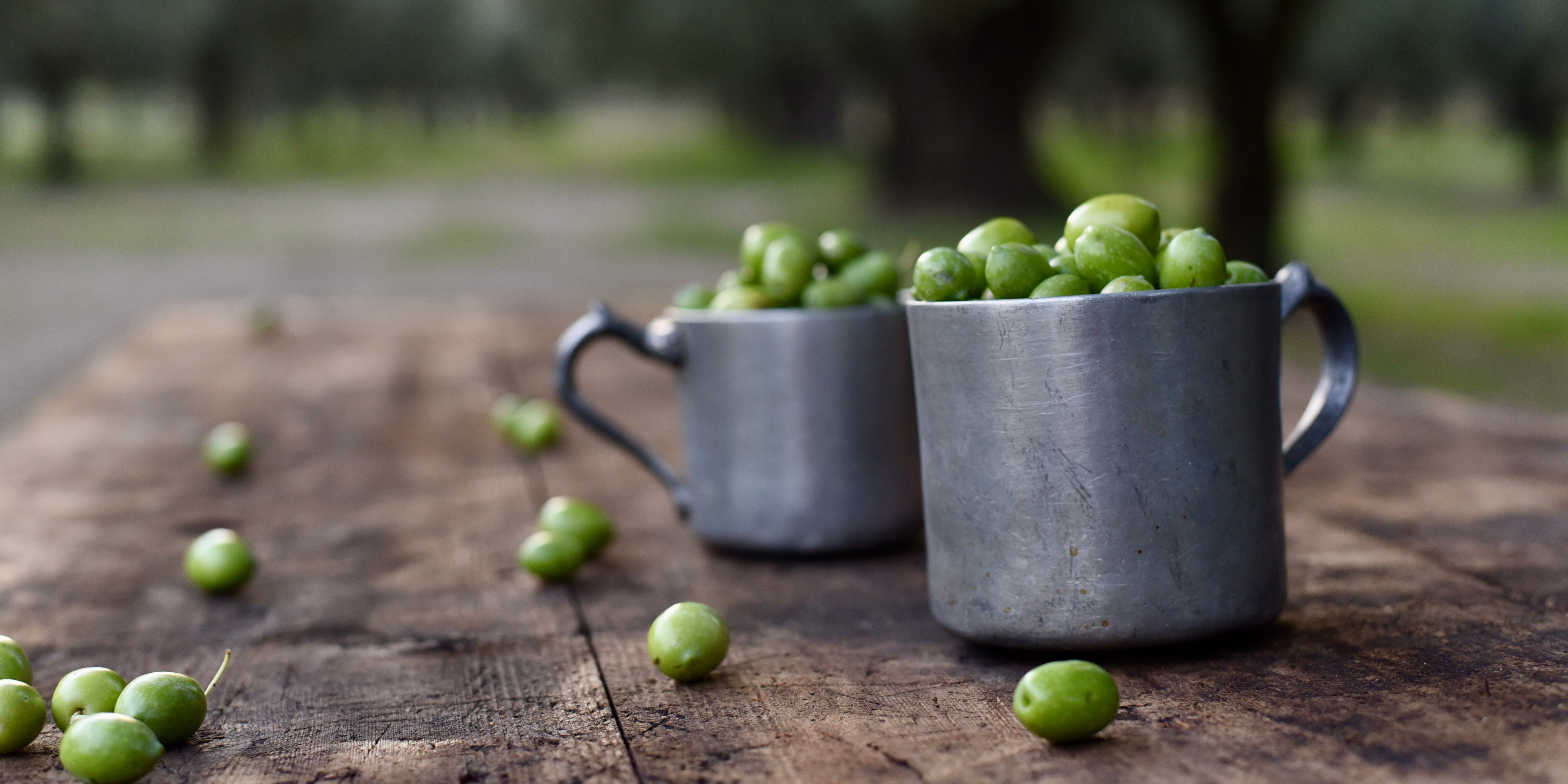 How to Taste Extra Virgin Olive Oil Like a Pro