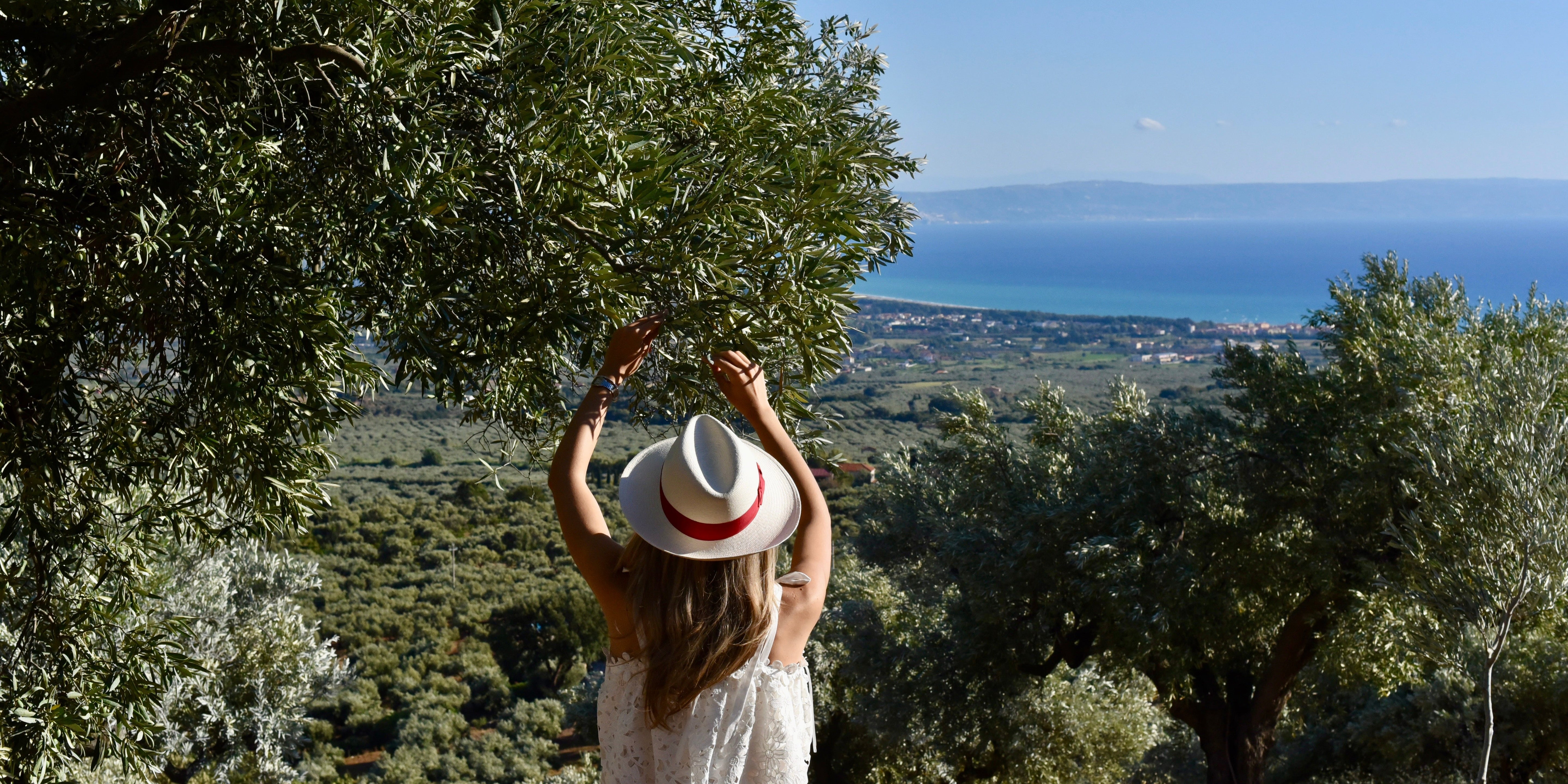 Organic Certification and Extra Virgin Olive Oil: What It Means for Quality