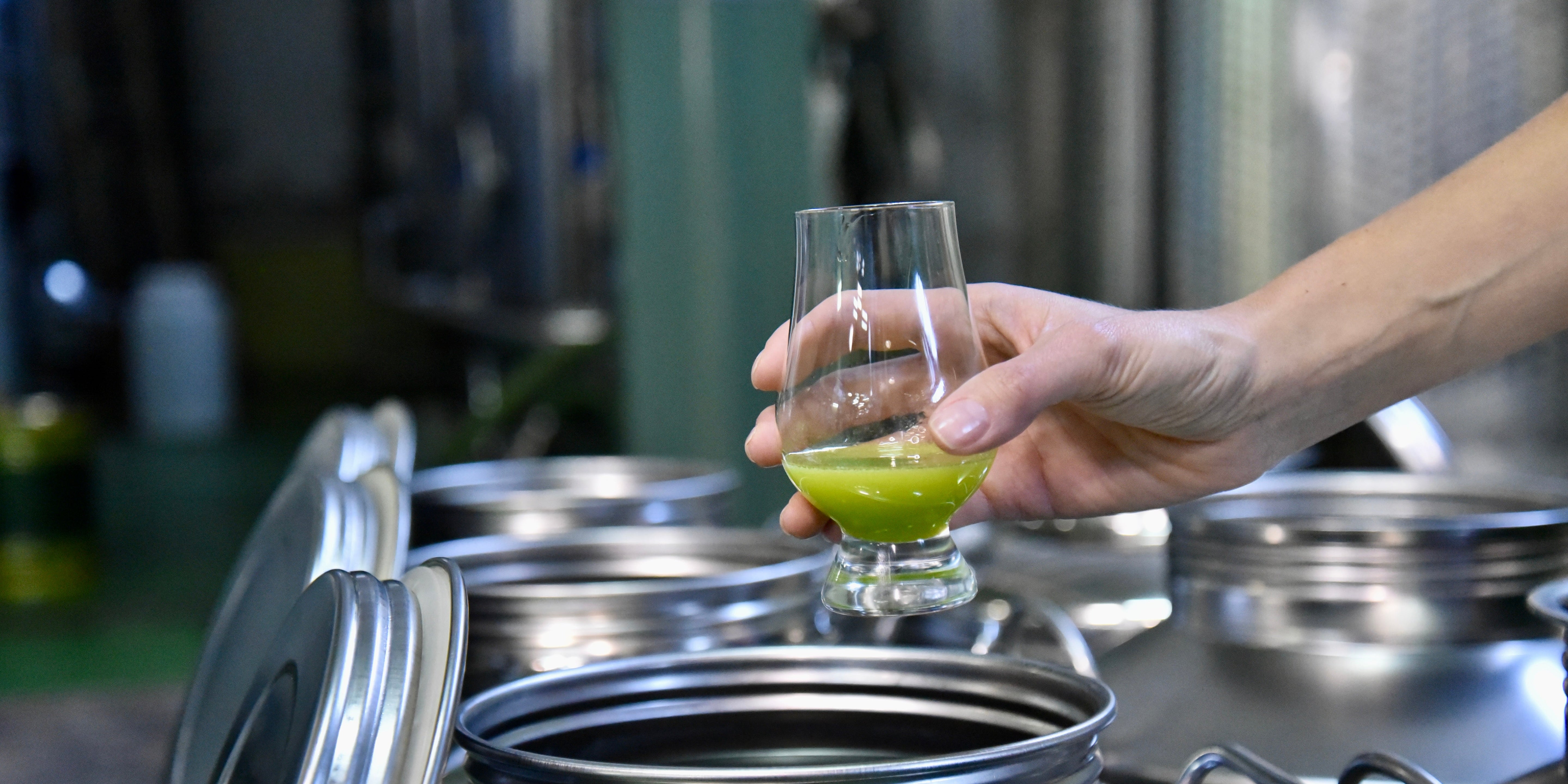 Why Extra Virgin Olive Oil Changes Every Year | Understanding Olive Oil Vintage